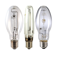 HID Lamps